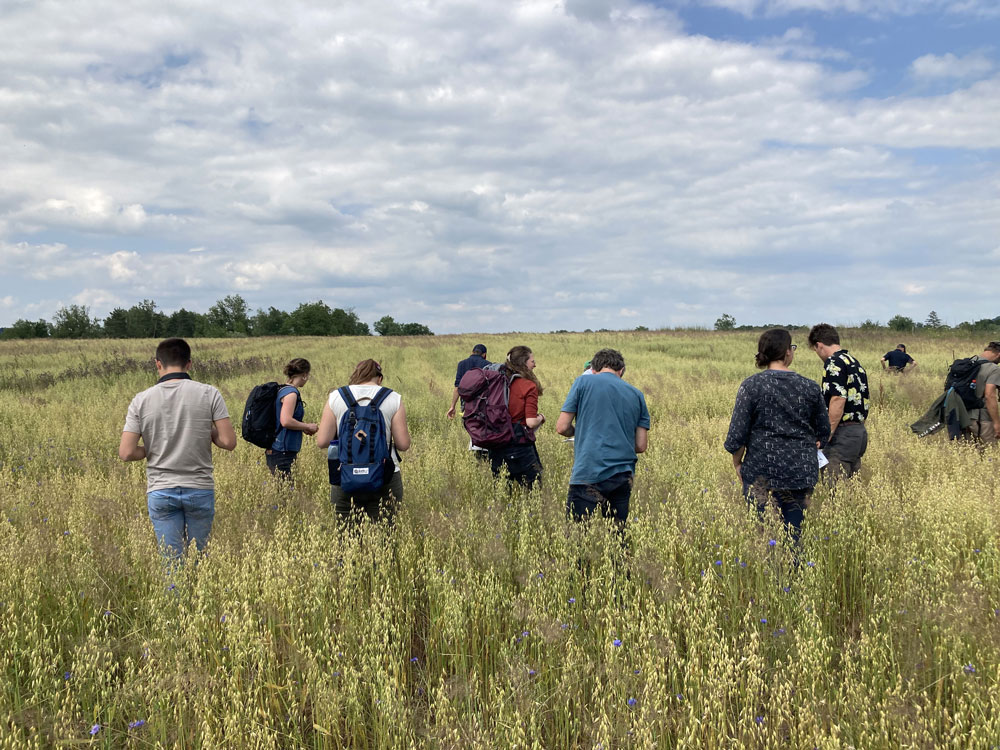 Bild von Teilnehmenden der Ackerflora-Tagung auf einem Feld.